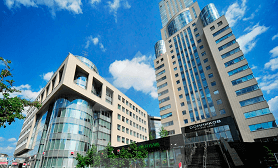 Домников бизнес-центр (Domnikov)